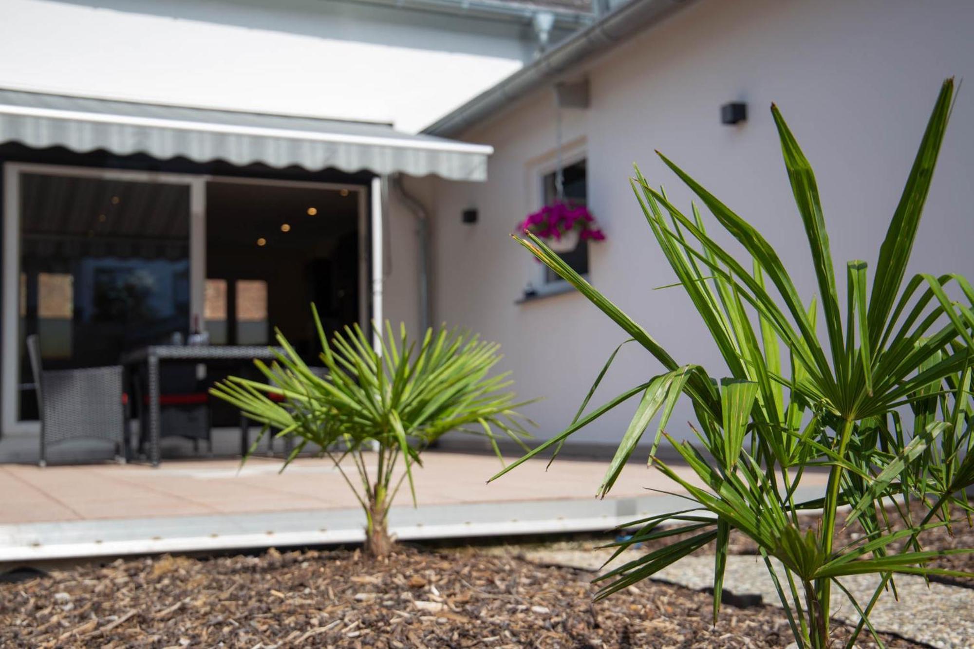 Ferienwohnung Philipp Traben-Trarbach Exterior foto